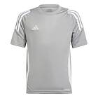 Adidas Tiro24 Long Sleeve T-shirt Grå 5-6 Years Pojke