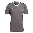 Adidas Entrada 22 Short Sleeve T-shirt Grå 3XL Tall Man