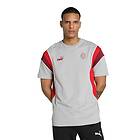 Puma Ac Milan Ftblarchive Short Sleeve T-shirt Grå M Man