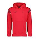 Puma Ac Milan Ftblarchive Hoodie Röd L Man