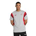 Puma Ac Milan Ftblarchive Short Sleeve T-shirt Grå L Man