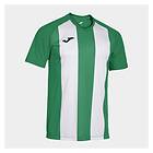 Joma Inter Iv Short Sleeve T-shirt Grönt,Vit 12-14 Years Pojke