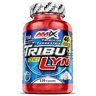 Amix Tribulyn 40% Natural Anabolic Caps 120 Units Röd