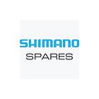 Shimano Wh-r9270-c50-tl-r Spoke Silver 253 mm