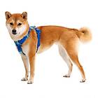 Ruffwear Front Range Hundsele Blå/Ljusblå (L-XL)