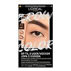 L'Oreal Brow Color Kit Semi-Permanent Eyebrow Color 3.0 Dark Brunette 30 ml