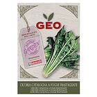 Geo Chicory 'Catalogne', økologiske frø 6g
