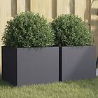 vidaXL Odlingslådor 2 st antracit 32x30x29 cm kallvalsat stål 841540