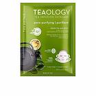 Teaology Face Mask Green Tea AHA Uppfriskande och renande arkmask för ansikte hals 21ml