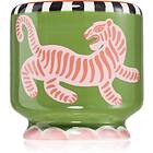 Paddywax A Dopo Tiger doftljus 226g