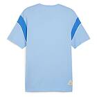 Puma Manchester City Ftblarchive Short Sleeve T-shirt Blå XL Man