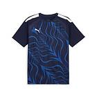 Puma Individualliga Graphic Short Sleeve T-shirt Blå S Man