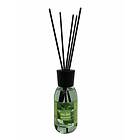 Mossa Luftrenare Magic Lights Mikado (125ml)