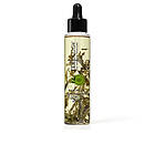 Teaology Body Bancha Oil 100ml