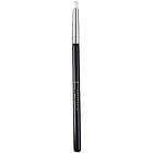 Anastasia Beverly Hills Brush A14 
