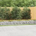 vidaXL Upphöjd planteringsgabion 800x50x50 cm galvaniserat järn 153545