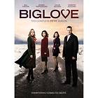 Big Love - Season 5 (UK) (DVD)