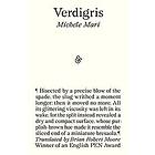 Michele Mari: Verdigris
