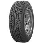 Goodride SW608 225/50 R 17 98H