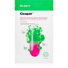 Dr Jart+ Dr. + Cicapair™ Intensive Soothing Repair Serum Mask Fuktgivande och lu