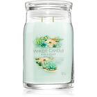 Yankee Candle Aloe & Agave doftljus 567g