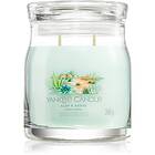 Yankee Candle Aloe & Agave doftljus 368g