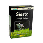 Skånefrö Gräsfrö Siesta 1kg 631302