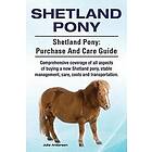 Rollins College Julie Anderson: Shetland Pony. Pony