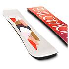 Salomon Rumble Fish Snowboard  