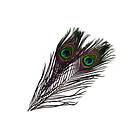 Frödin Flies SNS Peacock Eye Feathers B&D Evil Magenta