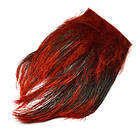 Frödin Flies SNS Wild Boar Feelers Blood Red