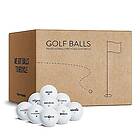 Out of Bounds Lakeballs blandning paket med 100 golfbollar AAA/AA superkvalitet