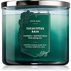 Bath & Body Works Eucalyptus Rain doftljus V. 411g