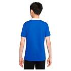 Nike Dri Fit Park Short Sleeve Polo Blå 10-12 Years Pojke