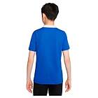 Nike Dri Fit Park Short Sleeve Polo Blå S Pojke