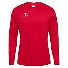 Hummel Authentic Pl Long Sleeve T-shirt Röd M Man