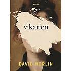 David Norlin: Vikarien