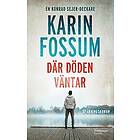 Karin Fossum: Där döden väntar