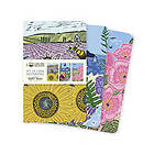 Kate Heiss Set of 3 Mini Notebooks