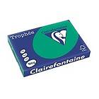Clairefontaine 160g A3 papper furugrön 250 ark 160G