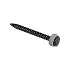 Pro-Point Bleckspik 100 st svart 2,5 x 30 ( styck ) 22925302