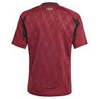 Adidas Belgium 23/24 Junior Short Sleeve T-shirt Home Röd 9-10 Years