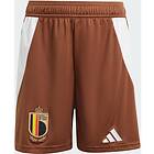 Adidas Belgium 23/24 Shorts Away Brun 11-12 Years