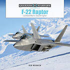 F-22 Raptor