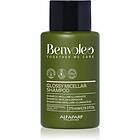 Alfaparf Milano Benvoleo Glossy Micellar Shampoo 275ml