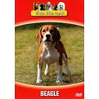 Våra Hundar: Beagle (DVD)
