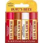 Burt's Bees Burt’s Festive Presentförpackning (för läppar)