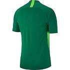 Nike Dri Fit Striker V Short Sleeve T-shirt Gul S Man