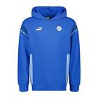 Puma Manchester City Ftblarchive Full Zip Sweatshirt Blå XL Man