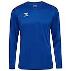 Hummel Authentic Pl Long Sleeve T-shirt Blå L Man